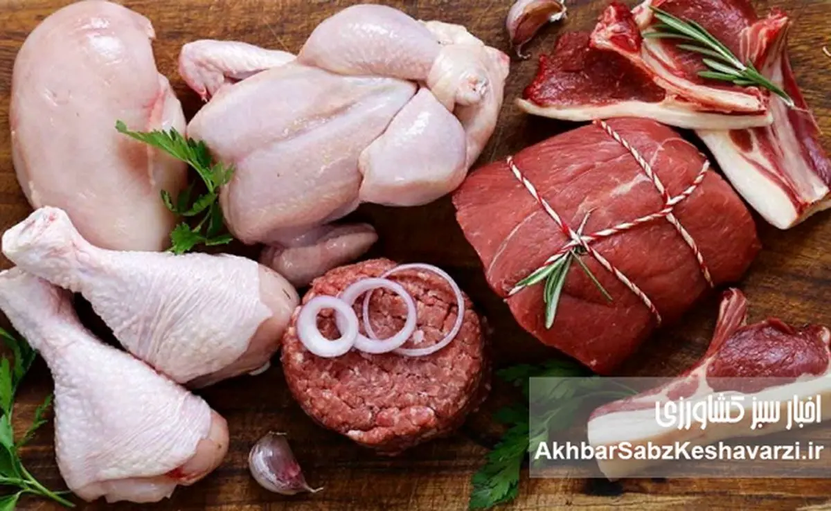 ارزانیِ بی‌پشتوانه؛ وقتی تولید قربانی کنترل قیمت می‌شود