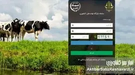 سامانه بازارگاه عرضه‌کننده ذرت ندارد، دام‌ها گرسنه‌اند؛ کشور در آستانه بحران