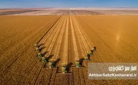 غول‌های کشاورزی: سفر به بزرگترین مزارع جهان و فناوری پشت آن‌ها+ویدئو