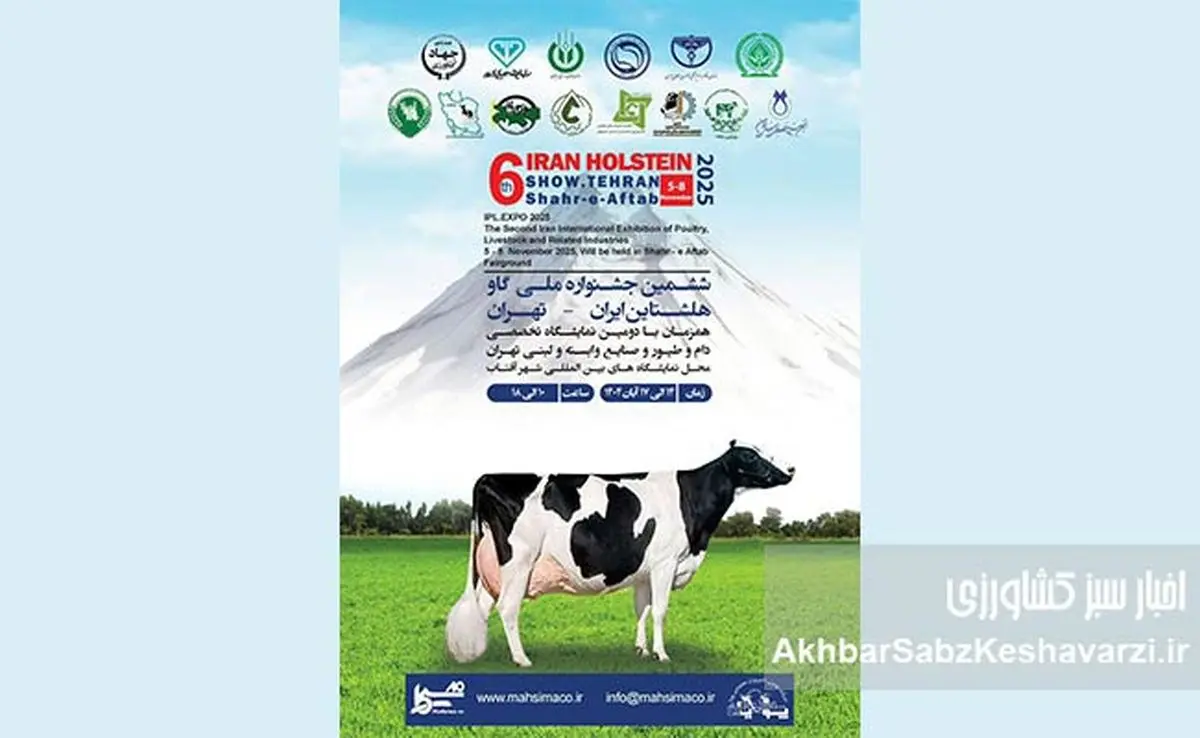 ششمین جشنواره ملی گاو هلشتاین؛ جشنی برای صنعت دامپروری ایران!