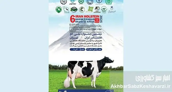 ششمین جشنواره ملی گاو هلشتاین؛ جشنی برای صنعت دامپروری ایران!
