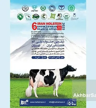 ششمین جشنواره ملی گاو هلشتاین؛ جشنی برای صنعت دامپروری ایران!