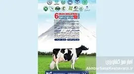 ششمین جشنواره ملی گاو هلشتاین؛ جشنی برای صنعت دامپروری ایران!