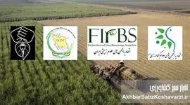 چرا سکوت متخصصان در برابر تغییر ساختار وزارت جهاد کشاورزی جایز نیست؟