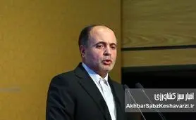 وزیر جهاد کشاورزی و وعدههای ناتمام؛ از ثبات قیمت مرغ تا خودکفایی بر باد رفته