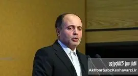 وزیر جهاد کشاورزی و وعده‌های ناتمام؛ از ثبات قیمت مرغ تا خودکفایی بر باد رفته