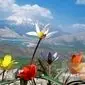 تب صعود به دماوند؛ از رویای فتح تا تراژدی!