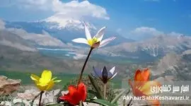 تب صعود به دماوند؛ از رویای فتح تا تراژدی!