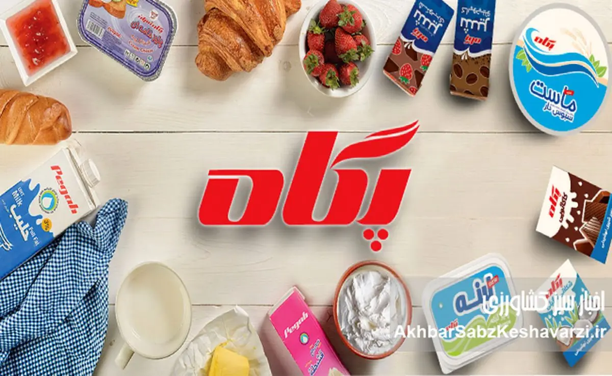 «پگاه» و موج گرانی‌های اخیر؛ مردم پاسخ روشن می‌خواهند