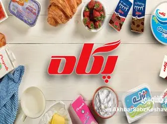 «پگاه» و موج گرانی‌های اخیر؛ مردم پاسخ روشن می‌خواهند