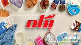 «پگاه» و موج گرانی‌های اخیر؛ مردم پاسخ روشن می‌خواهند