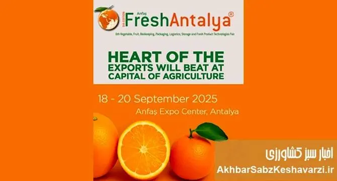 نمایشگاه بین‌المللی Fresh Antalya؛ دروازه کسب‌وکارهای بین‌المللی+جزئیات