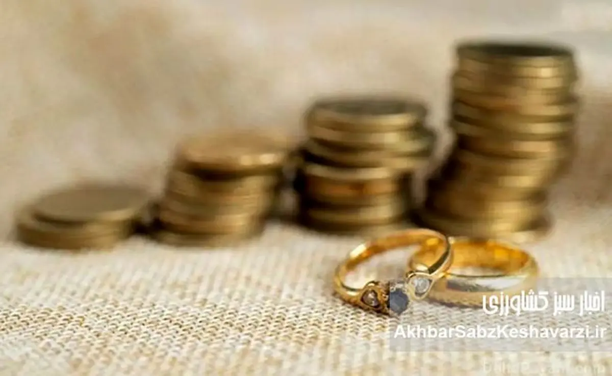 مهریه در ایران؛ آیا زنان آخرین سنگر قانونی خود را از دست میدهند؟