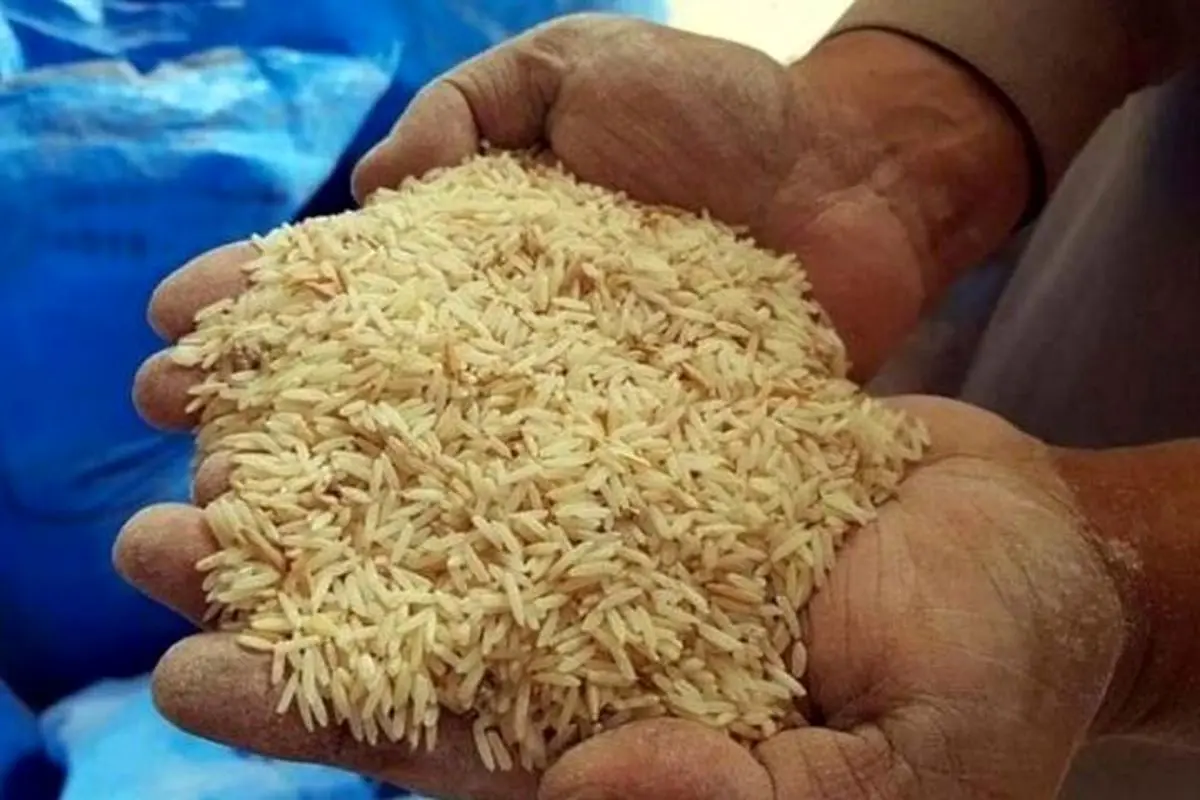 واردات 120 هزار تن برنج خارجی به کشور

