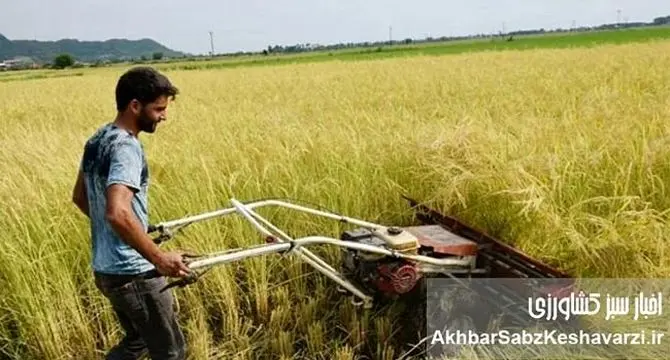 فارغ‌التحصیلان کشاورزی، بیکار؛ مزارع کشور، سنتی