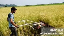 فارغ‌التحصیلان کشاورزی، بیکار؛ مزارع کشور، سنتی