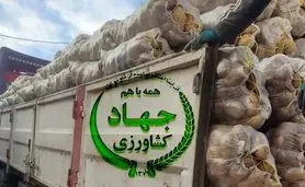 فساد در واردات سیب‌زمینی با ارز دولتی؛ پای سودهای نجومی در میان است
