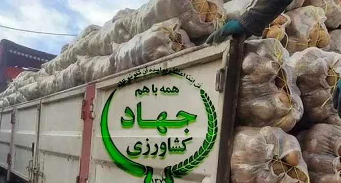 فساد در واردات سیب‌زمینی با ارز دولتی؛ پای سودهای نجومی در میان است