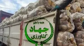 فساد در واردات سیب‌زمینی با ارز دولتی؛ پای سودهای نجومی در میان است