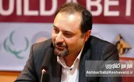 بازار جهانی گندم: ازدیاد تولید، موانع ژئوپلیتیکی و نگرانیهای اقلیمی