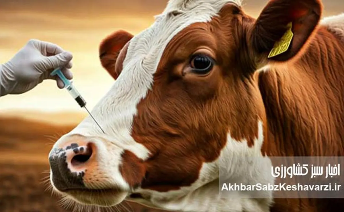 سویه جدید تب برفکی، تهدیدی برای شیر کشور