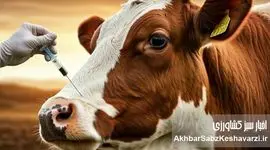 سویه جدید تب برفکی، تهدیدی برای شیر کشور