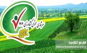 حاشیه‌ای بر گزارش سرشماری کشاورزی 1403: افزایش سطح کشت گندم و چالش‌های پایداری تولید