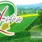 حاشیه‌ای بر گزارش سرشماری کشاورزی 1403: افزایش سطح کشت گندم و چالش‌های پایداری تولید