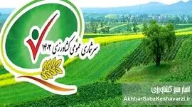 حاشیه‌ای بر گزارش سرشماری کشاورزی 1403: افزایش سطح کشت گندم و چالش‌های پایداری تولید