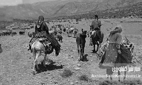 جامعه دهقانی ایران در دوره پهلوی؛ تحولات، لایه‌بندی‌ها و مبارزات