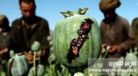 دسترسی آسان شربت تریاک؛ از داروخانه تا ناصرخسرو!
