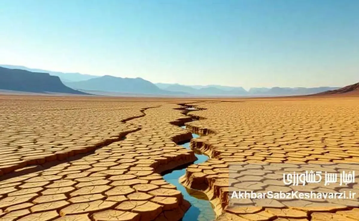 بحران آب ایران نه کمبود، که کشاورزی غلط است
