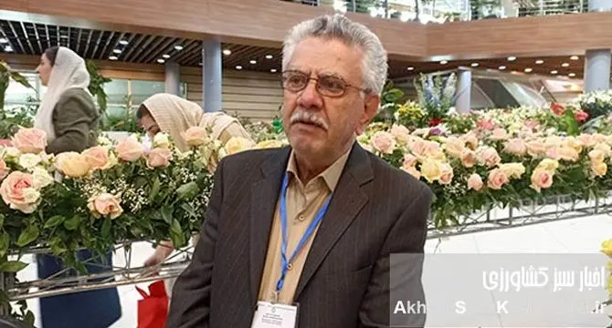 اولویت نخست اتحادیه تولید کنندگان گل و گیاه ایران: توسعه صادرات و بازیابی بازارهای جهانی