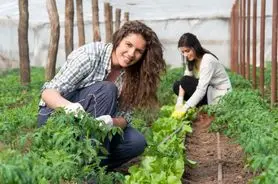 جشن سال جهانی زن کشاورز