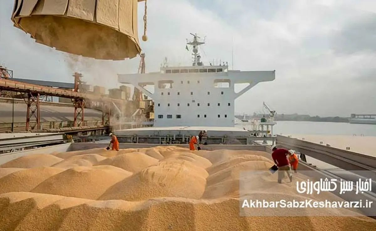 مشکل واردات نهاده‌ها؛ زخمی همیشگی بر پیکر صنعت دام و طیور