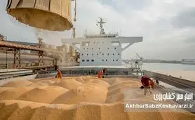 مشکل واردات نهاده‌ها؛ زخمی همیشگی بر پیکر صنعت دام و طیور