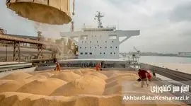 مشکل واردات نهاده‌ها؛ زخمی همیشگی بر پیکر صنعت دام و طیور