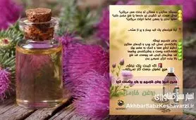 اکسیر جادویی برای کبد شما: روغن خار مریم