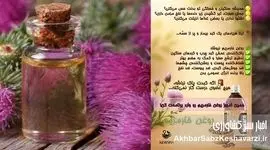 اکسیر جادویی برای کبد شما: روغن خار مریم