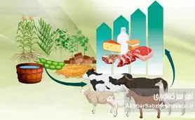 بی‌توجهی به اشتها و غذاخوردن دام؛ عامل پنهان افت تولید شیر