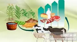 بی‌توجهی به اشتها و غذاخوردن دام؛ عامل پنهان افت تولید شیر