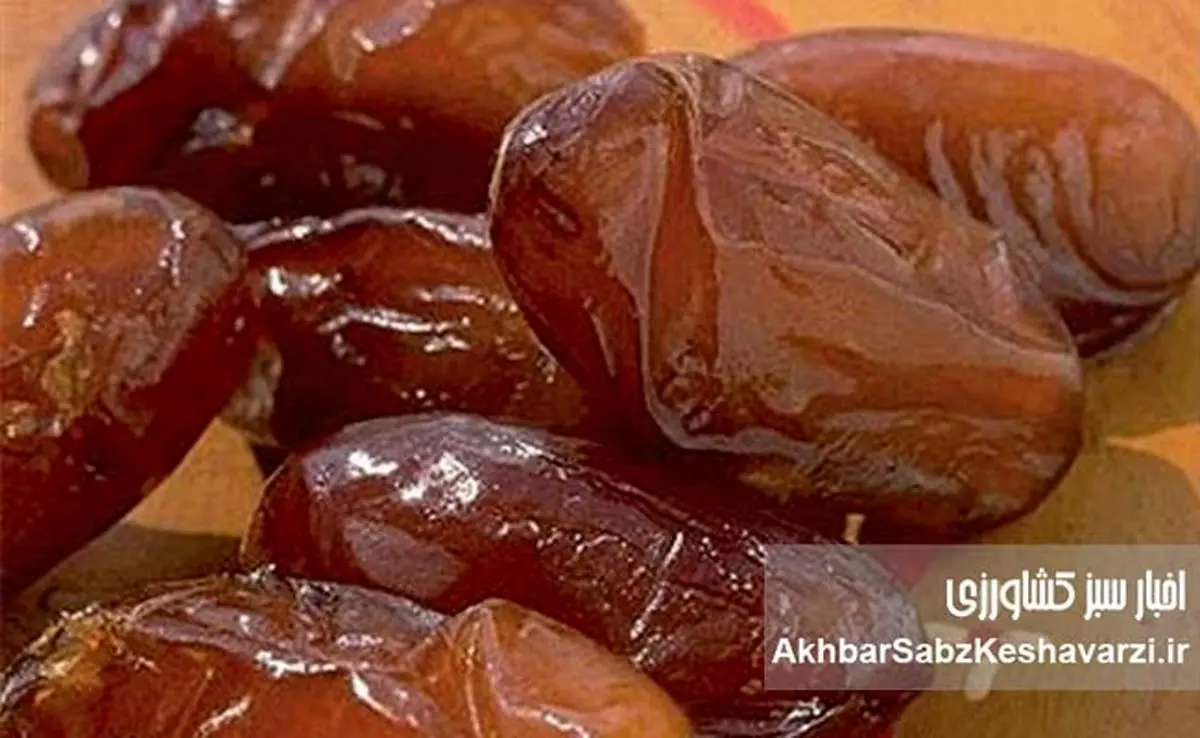 معجزه گرم خرما در روزهای سرد | فقط ۲ عدد در روز کافی است!