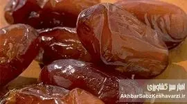 معجزه گرم خرما در روزهای سرد | فقط ۲ عدد در روز کافی است!