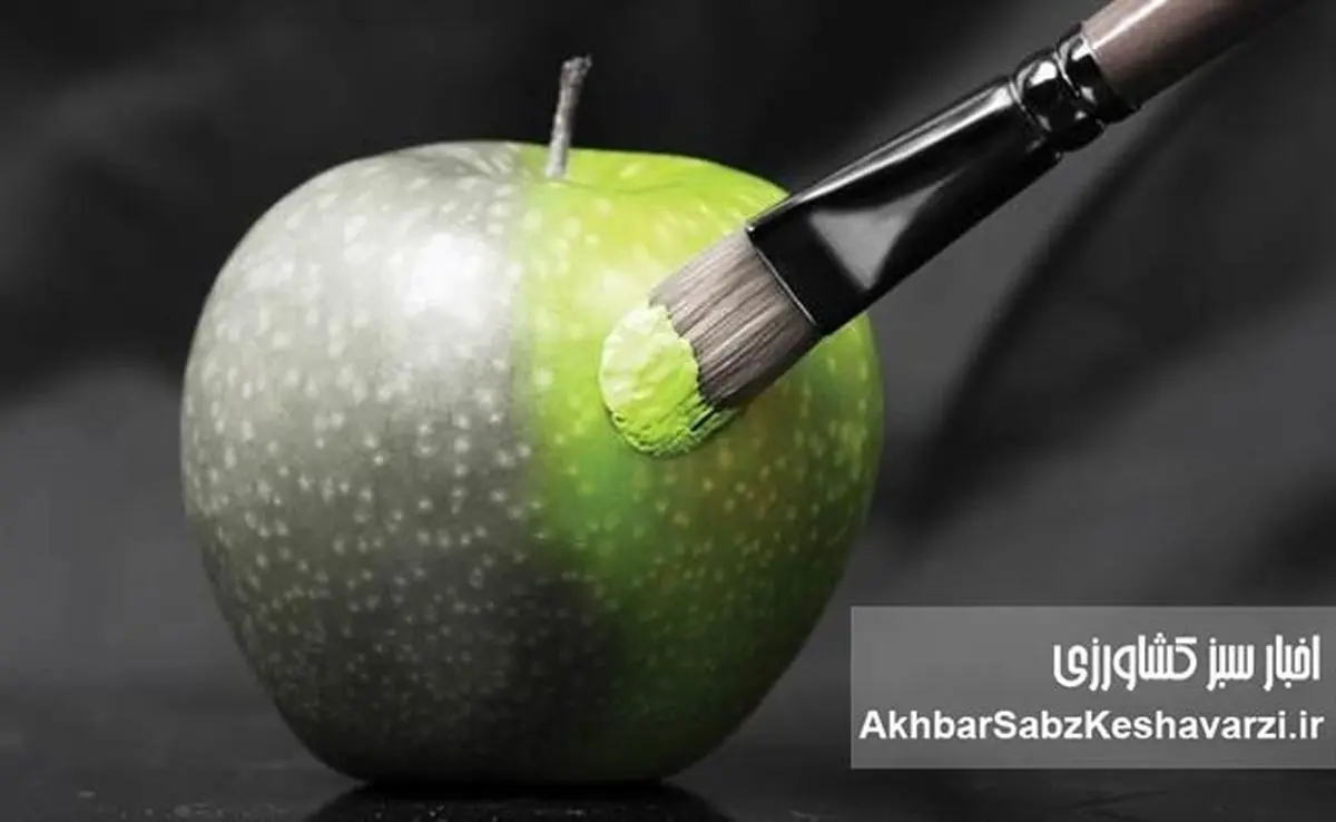 خوراکی‌های روزانه شما چقدر تقلبی هستند؟