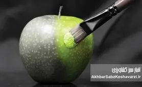 خوراکی‌های روزانه شما چقدر تقلبی هستند؟