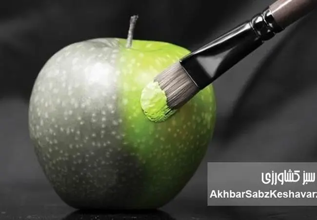 خوراکی‌های روزانه شما چقدر تقلبی هستند؟