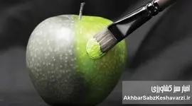 خوراکی‌های روزانه شما چقدر تقلبی هستند؟