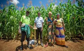 استفاده از فناوری برای تحول کشاورزی در زامبیا