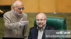 ادعای تکان‌دهنده میرسلیم: رشوه وزرا به نماینده مجلس برای استیضاح نشدن+ ویدئو
