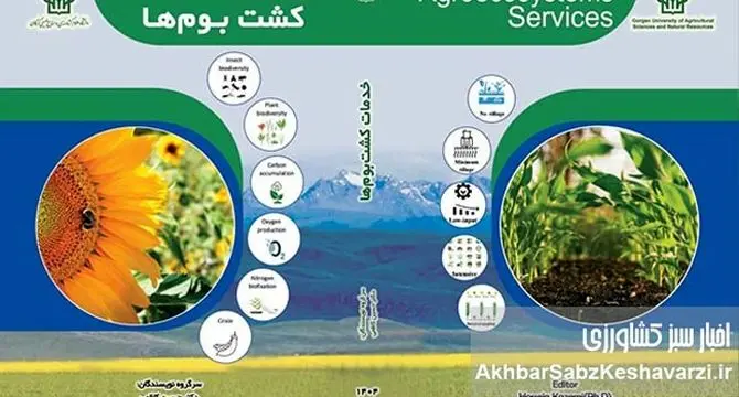 کشاورزی پایدار، فراتر از تامین غذا: نگاهی عمیق به «خدمات کشت بوم‌ها»